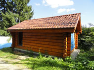 Side view