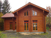 Log cabin house in final shade