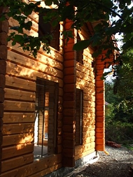 Side view
